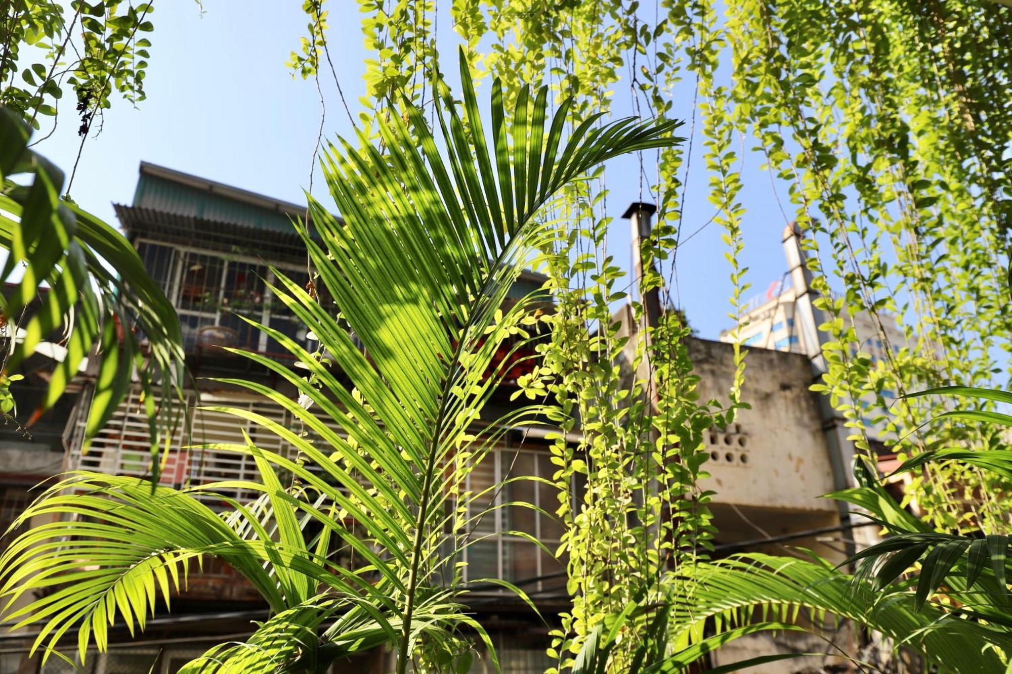 하노이 The Garden House 아파트 외부 사진